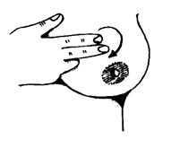 antenatal hand expression - diagram showing how to move fingertips in circular movements