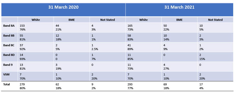 Workforce Ethnicity Profile_progress 2