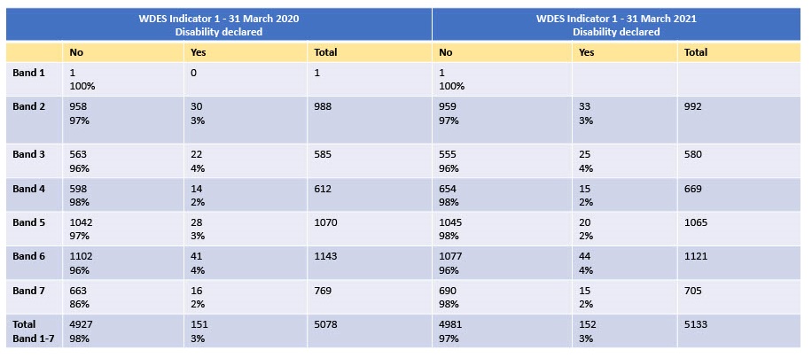 Workforce Ethnicity Profile_progress 3