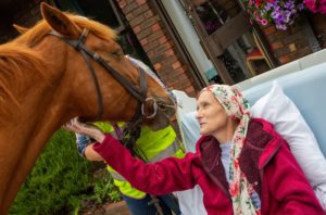 Hayley and horse