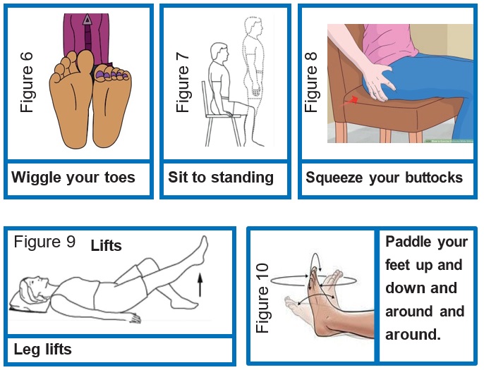 exercises for legs infographic