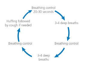 active cycle of breath diagram