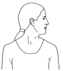 Illustration of someone turning their head from left to right